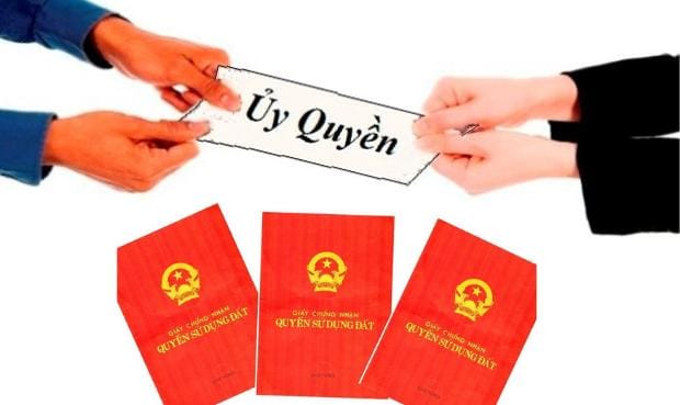 Tầm quan trọng của việc ủy quyền trong quản lý hiện đại