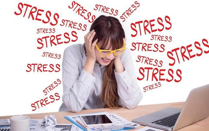 Làm chủ stress Bí quyết cân bằng cuộc sống của CEO thành công