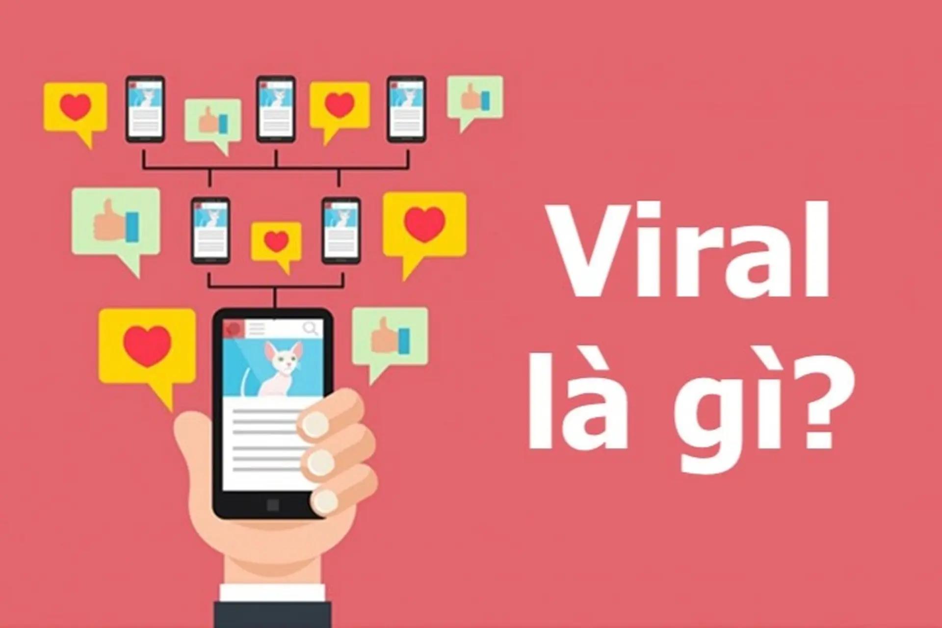 Tại sao mỗi bài đăng đều xứng đáng được chăm chút